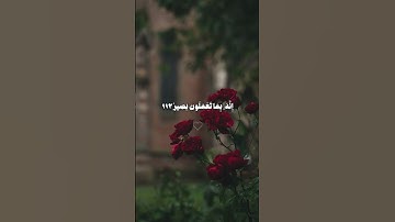 تلاوة خاشعة | علي جابر ⭐ #القرآن_الكريم #المصحف #علي_جابر #لايك
