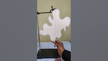 Do You Know How to Find the Center of Gravity of an Irregular Object ? #funscience #experiment