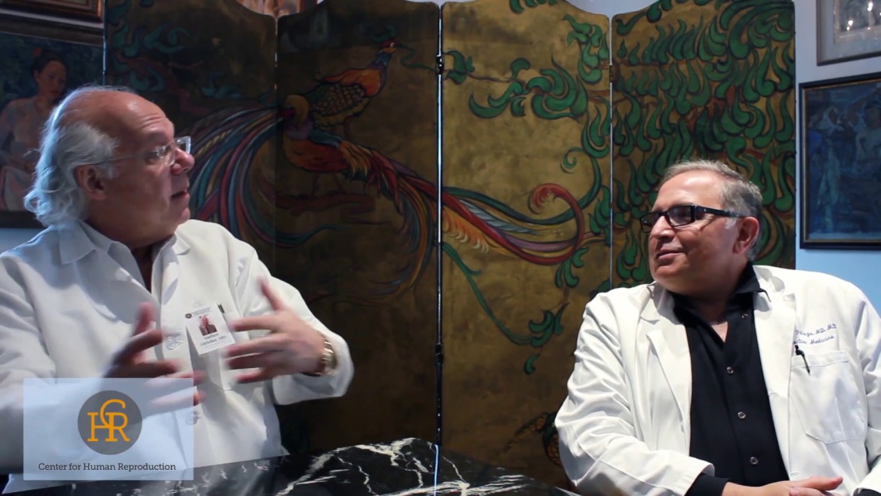 CONVERSATIONS AT CHR: Blastocyst Stage Culture in IVF