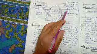 Chapter-3 Gaseous Fuels Part III and Advantages & Disadvantages of Gaseous, Liquid Fuels