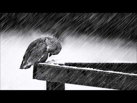 'Cold' - Jorge