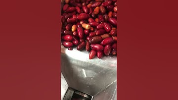 Date palm extractor machine