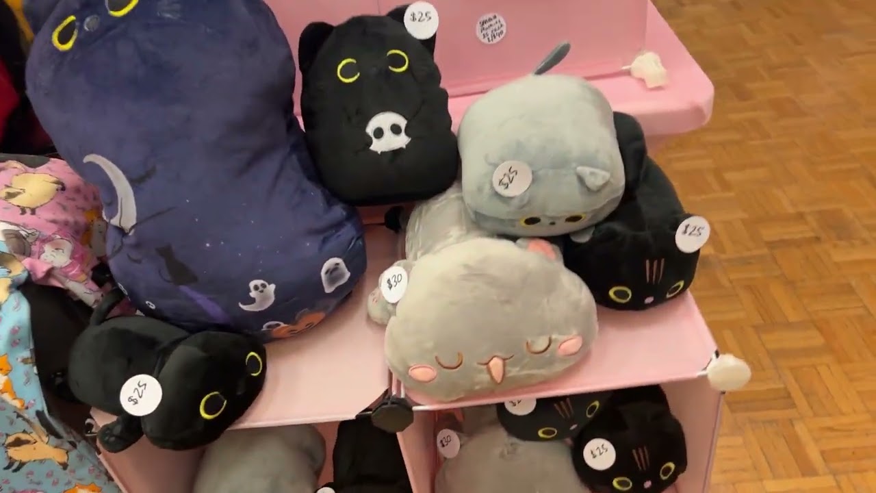 Aurora Comic Con November 2023