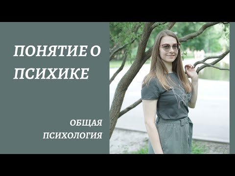 Кратко о психике: понятие, свойства, функции