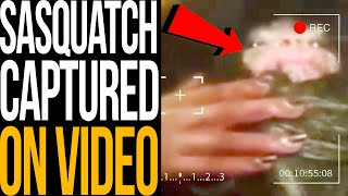 Sasquatch FOUND Alive [ACTUAL VIDEO]