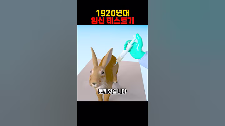 1920년대 임신 테스트기