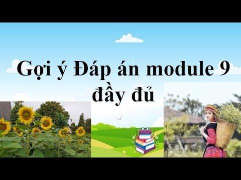 Modun9 Hướng Dẫn Làm Đáp án Module 9/100Đ - Bài tập trắc nghiệm Modun9 để tham khảo (Nên học kỹ) Modun9 Hướng Dẫn Làm Đáp án Module 9/100Đ - Bài tập trắc nghiệm Modun9 để tham khảo (Nên học kỹ)