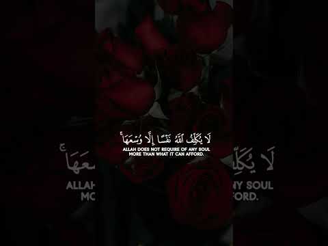 تلاوت قدرتمند قرآن کوتاه اکسبلور شورت خور