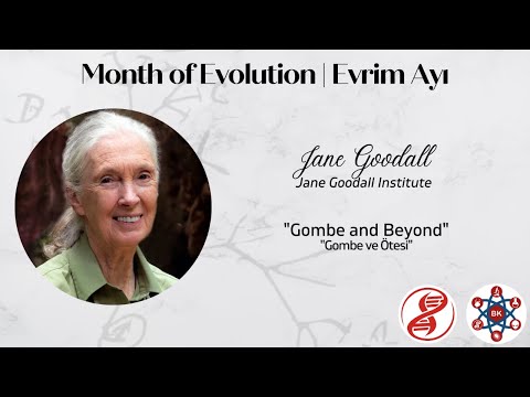 Şempanzeler, Gombe ve Ötesi - Jane Goodall ile Röportaj & Soru/Cevap (ALTYAZILI)