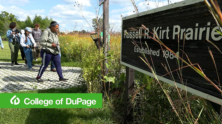 Susan Kirt: Artist In Residence at College of DuPage