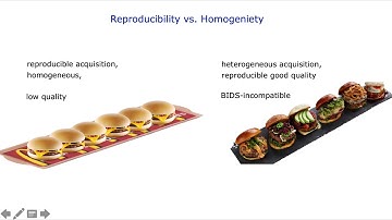 Layer-fMRI in DLPFC, Renzo Huber