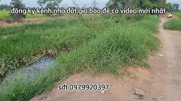 bán 33 công đất giá rẻ chỉ 110tr/1công ở xã tân lập,mộc hóa,long an sđt 0979920397