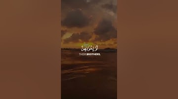 قل للمؤمنين يغضوا من أبصارهم / سورة النور #quran