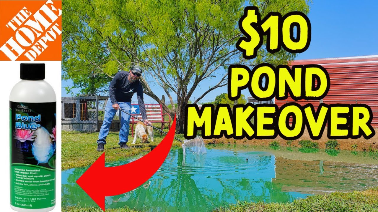 Home Depot Pond Makeover For Less Than 10 YouTube