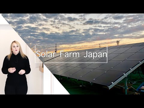 50 KW Solar Farm in Japan | Is it worth it?