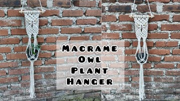 DIY Macrame Owl || Macrame Owl Plant Hanger || Macrame Owl Wall Hanging Tutorial || Air Plant hanger