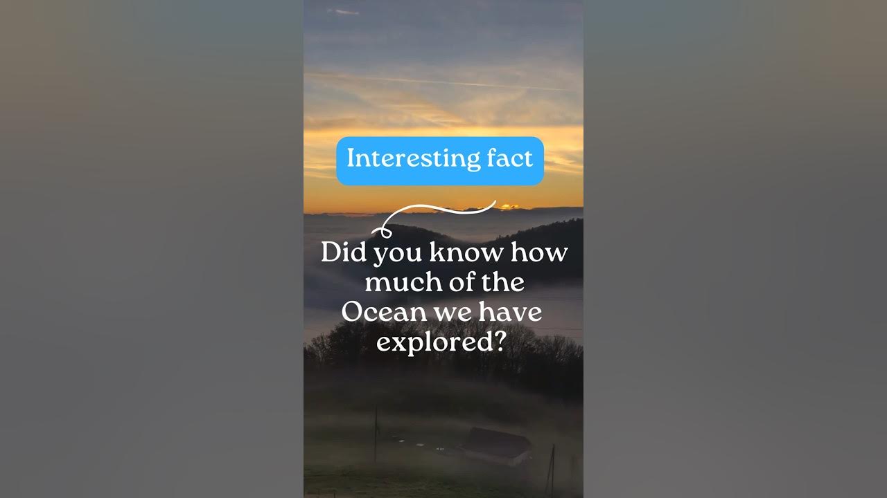 How Much Of The Ocean Have We Explored?? facts nature YouTube