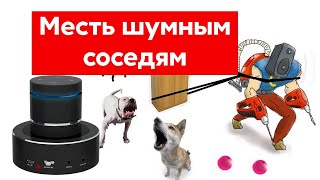 :    |  
