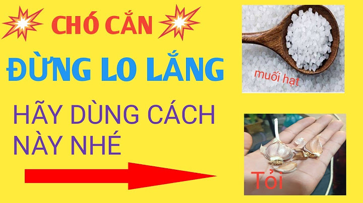 Choó nhà căn người thì sử lý thế nào năm 2024