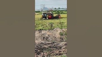 Máy cắt lúa miền Tây Yanmar 82 cắt lúa nhật 🌾🌾🌾