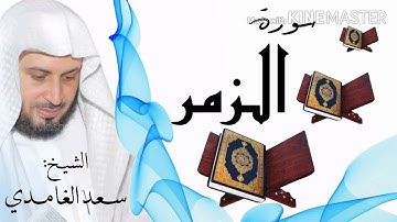 سورة الزمر / الشيخ سعد الغامدي  Surat Az-Zumar / Sheikh Saad al-Ghamidi