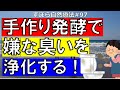 手作り発酵パワーで嫌な臭いを浄化！　えひめAI Ⅱの作り方　ずぼら自然療法#97