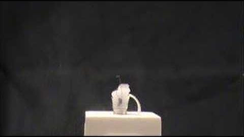 slow-mo lightbulb explosion