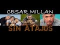 César Millán: 7 creencias hacia el Exito (Parte 8 de 9)