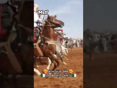 علفة عزيز تيربو تاغية ولاية معسكر