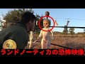 【衝撃映像】恐怖のアプリ、ランドノーティカの恐怖映像TOP５ 【RANDONAUTICA】 【都市伝説】