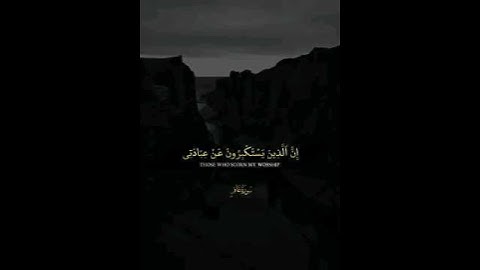 إن الله لذو فضل على الناس ❤️🩹📿 #سورة_غافر