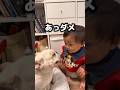 愛犬に怒られた1歳児が威嚇しました…w #フレンチブルドッグ #赤ちゃん #犬