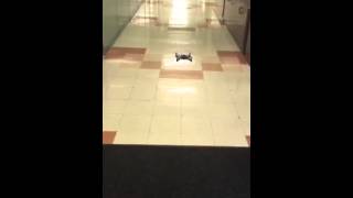 Tickle App Controlling Parrot Rolling Spider Drone screenshot 4