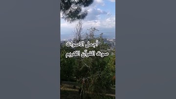 قران كريم😍🤲 بصوت جميل للشيخ حسام الدين عبادي سوره الرحمن #المصحف #اكسبلور #راحة_نفسية #الرحمن