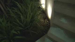 Mini 30X Solar Spotlight Part 1