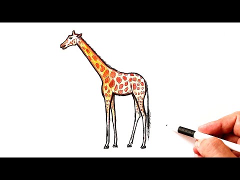 Как нарисовать Жирафа
