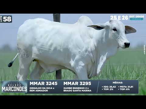 LOTE 58   MMAR 3295 3245