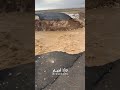 تأثير الأمطار الغزيرة على شارع القنيطرة في عمّان