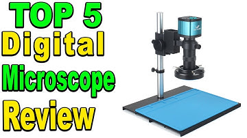 Top 5 Best Digital Microscope Camera Review 2023