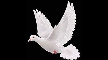 change detection by using supervised classification method by ENVI software