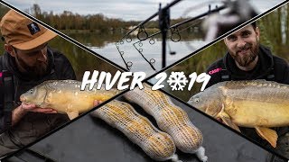 Hiver 2019 - pêche à la carpe ❄