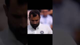 Mohammad Shami Masterclass of Swing Bowling #shorts #cricket #virat #viral #trending #short #trend