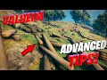 Valheim Advanced Tips and Tricks   Don't Survive   Dominate