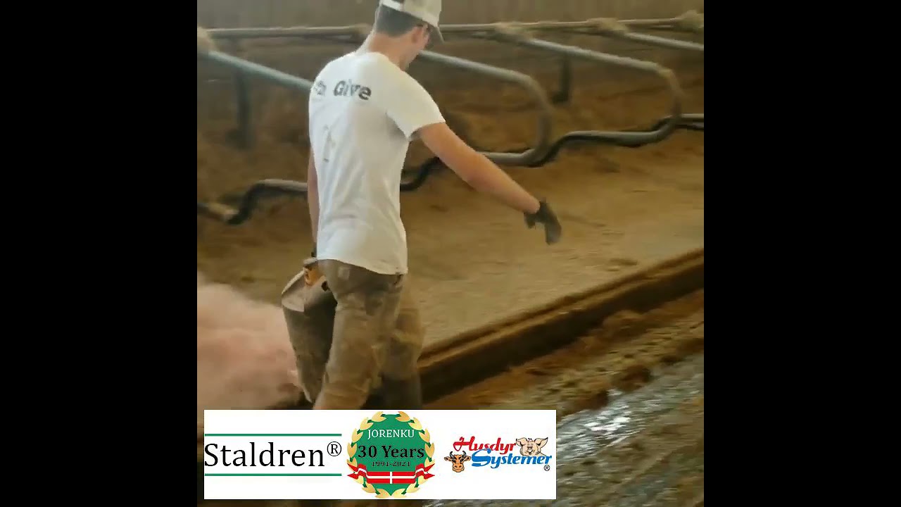 Staldren
