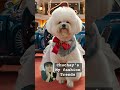 Chuchay fashion trends #ai #followers