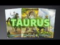 TAURUS ❤️🤯✨️ A WEALTHY LOVING PERSON IS WALKING INTO YOUR LIFE RIGHT NOW TO MARRY YOU 😱💰🤯✨ GET RE...