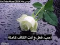 أنا أحبك قالت كيف أعربها ؟