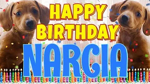 Happy Birthday Narcia! ( Funny Talking Dogs ) What Is Free On My Birthday