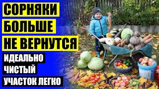 Защита растений от болезней и сорняков ❕ Купить средство от травы торнадо 500