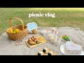 Picnic vlog  faire de jolies recettes de piquenique clbrer avec des amis 